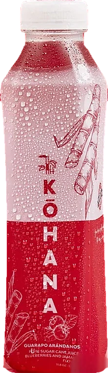 Botella de Kōhana Jugo de Caña Arándanos y Flor de Jamaica, 350 mL