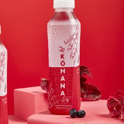 Kōhana Flor de Jamaica con arándanos